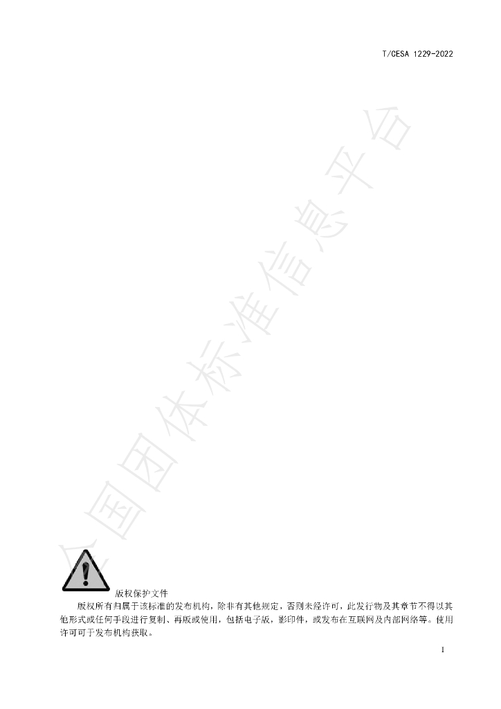 T/CESA 1229-2022 标准预览