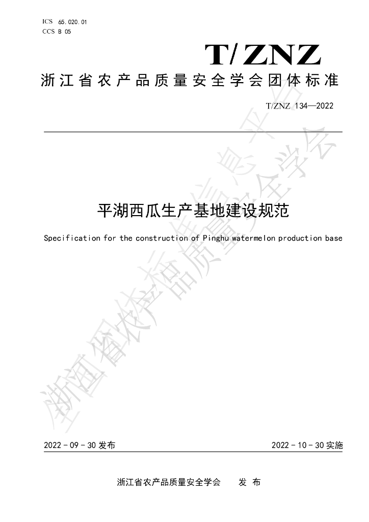 T/ZNZ 134-2022 标准预览