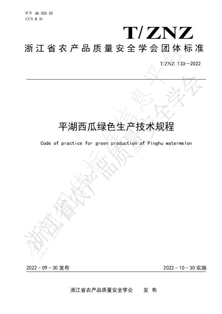 T/ZNZ 133-2022 标准预览