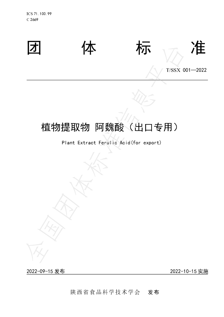T/SSX 001-2022 标准预览