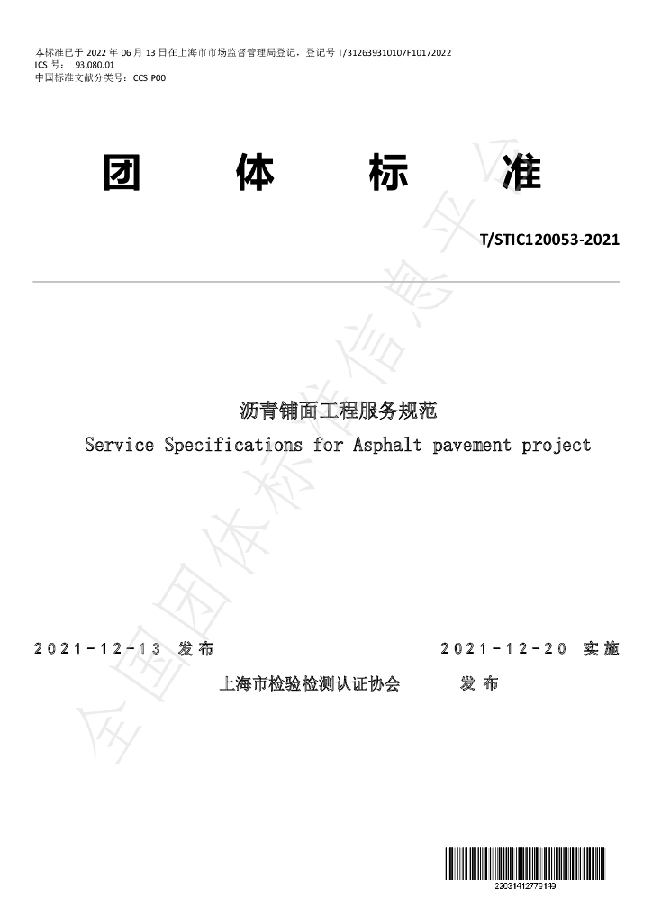 T/STIC 120053-2021 标准预览