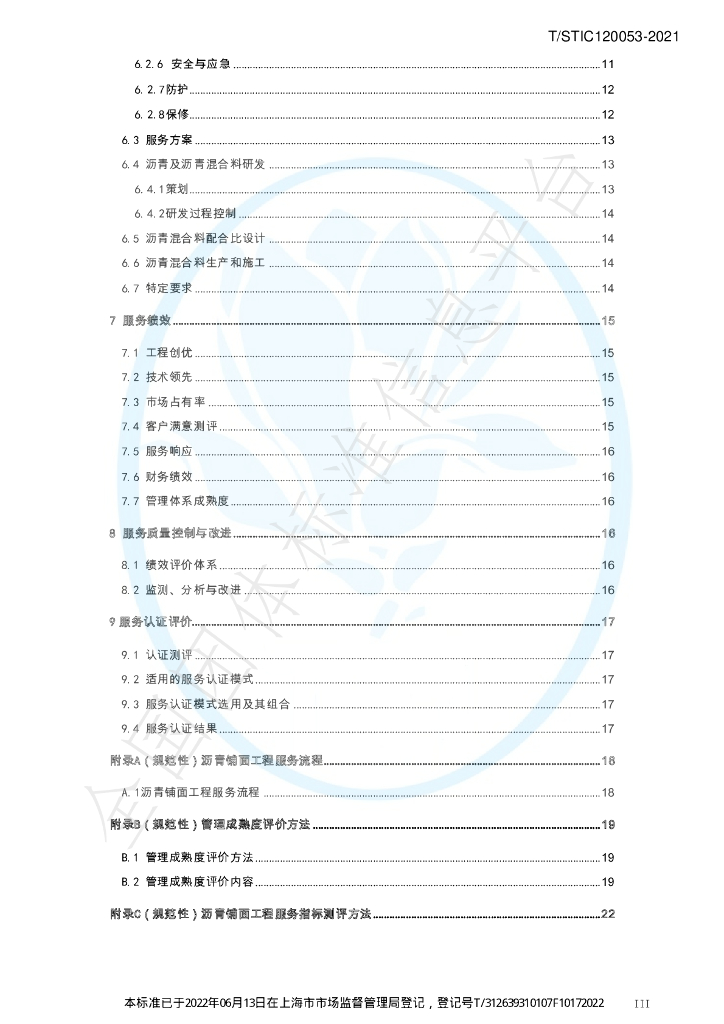 T/STIC 120053-2021 标准预览