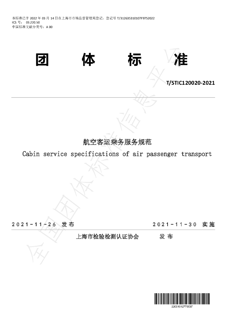 T/STIC 120020-2021 标准预览