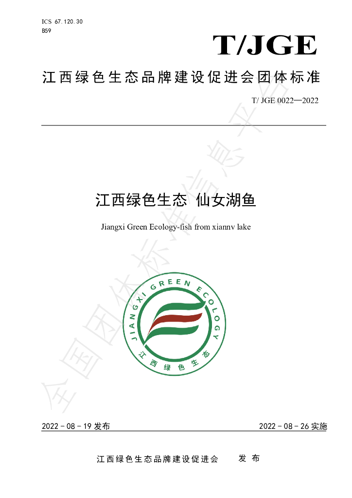 T/JGE 0022-2022 标准预览