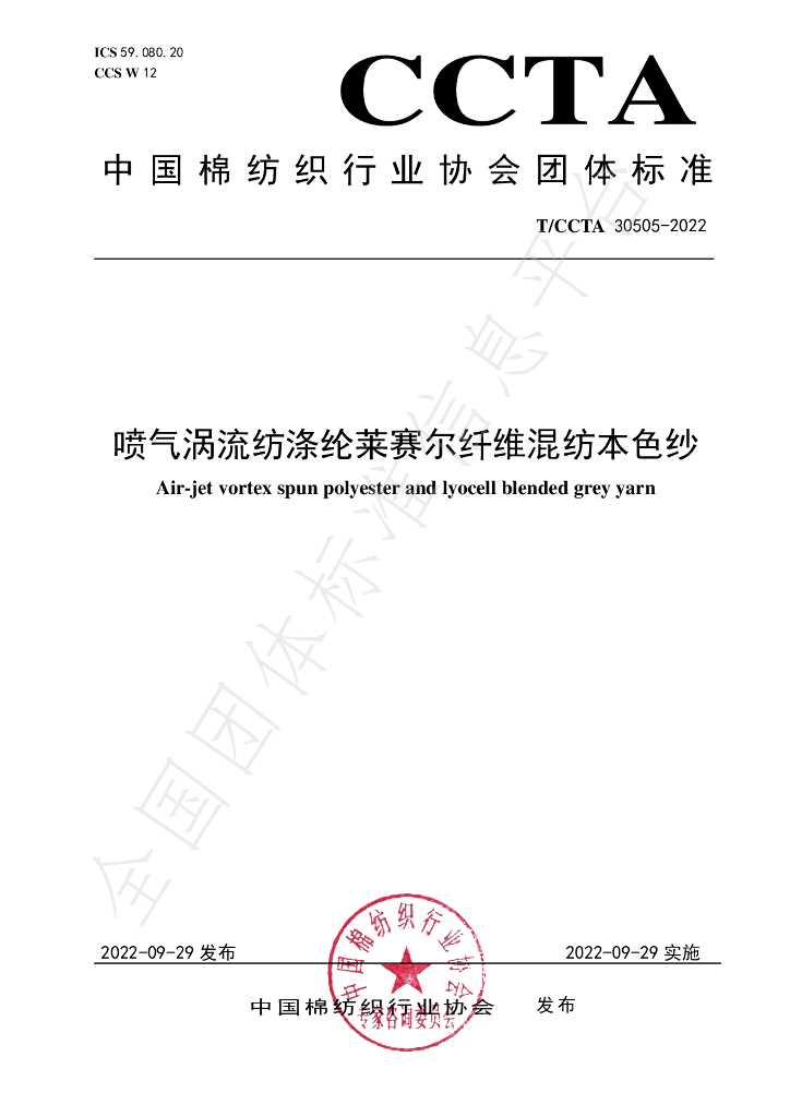 T/CCTA 30505-2022 标准预览