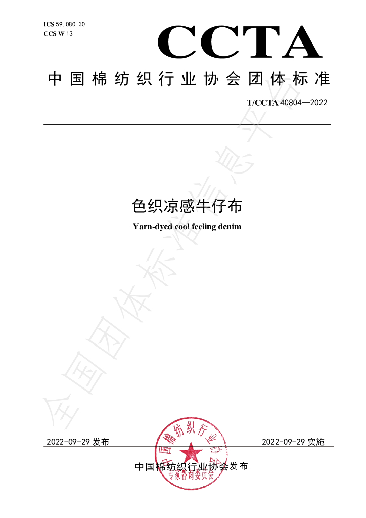 T/CCTA 40804-2022 标准预览