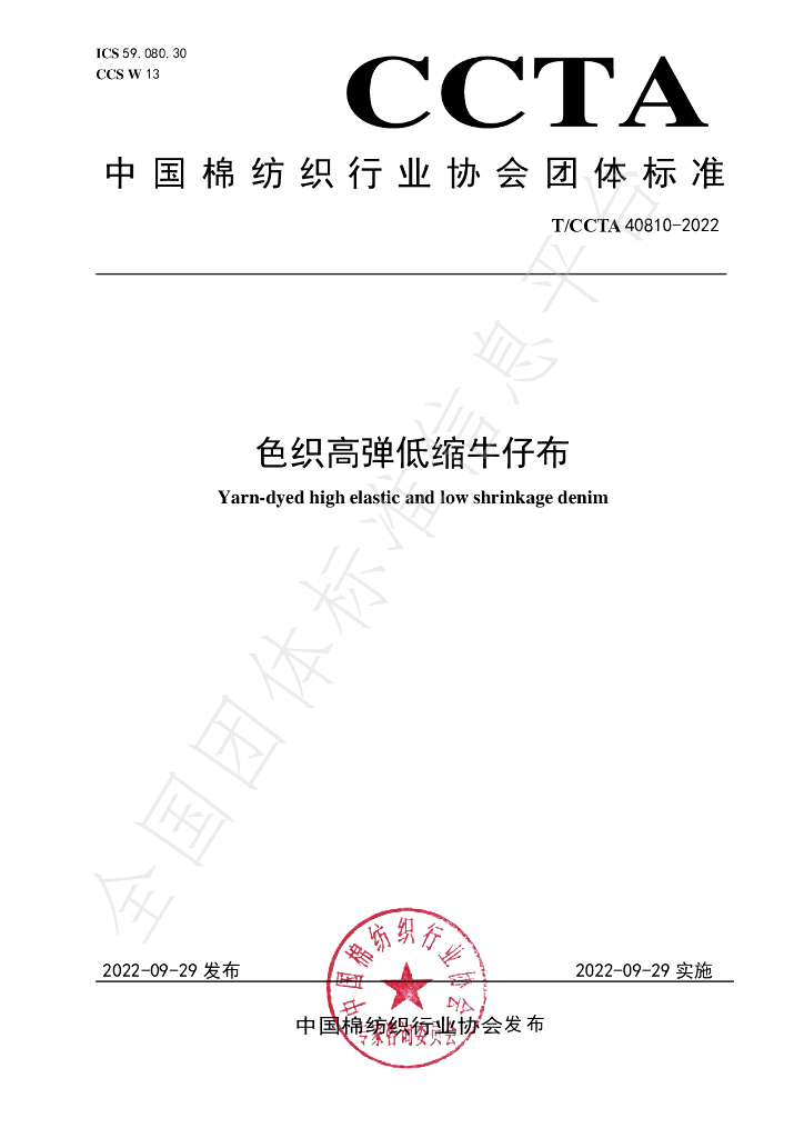T/CCTA 40810-2022 标准预览
