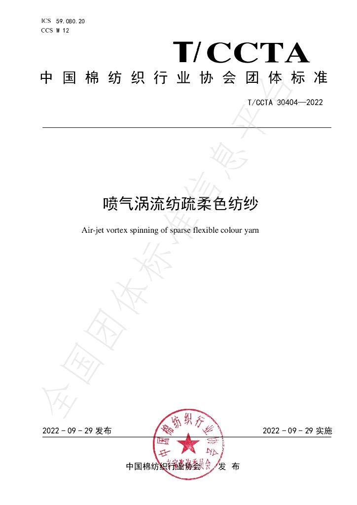 T/CCTA 30404-2022 标准预览