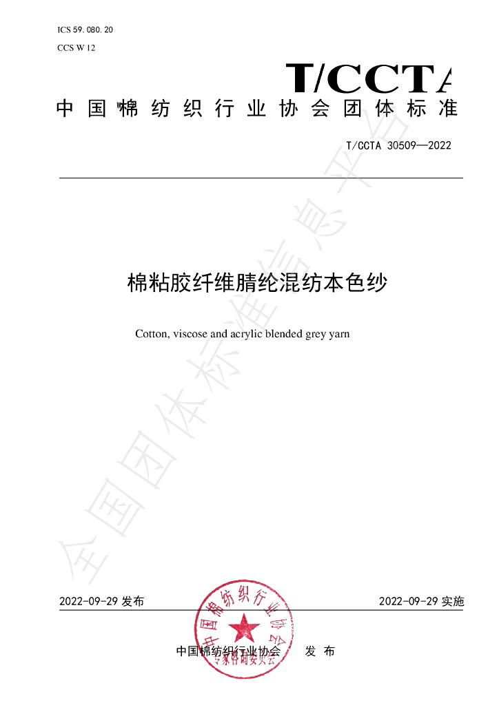 T/CCTA 30509-2022 标准预览