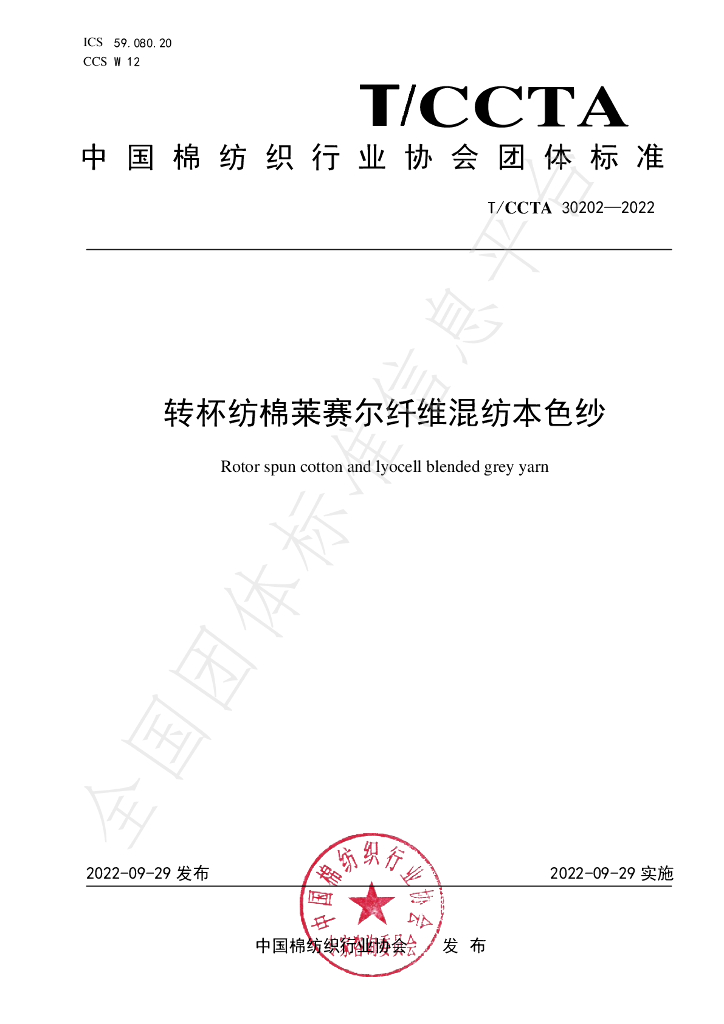 T/CCTA 30202-2022 标准预览