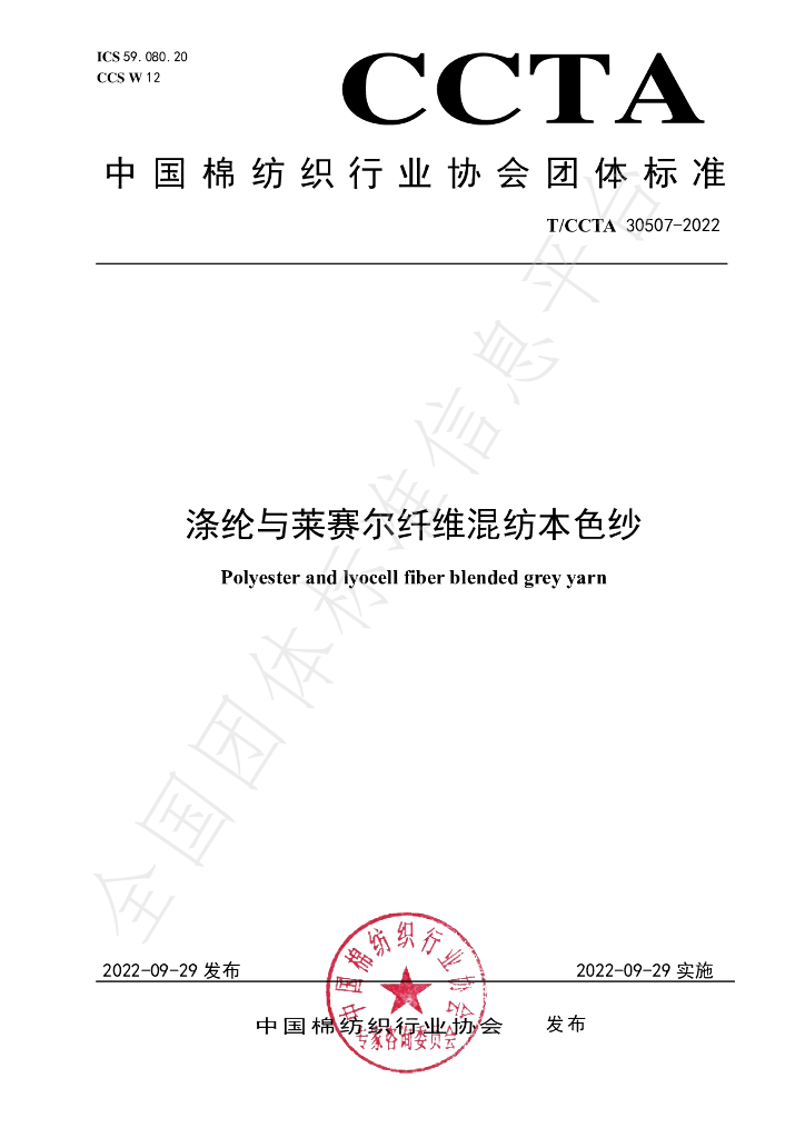 T/CCTA 30507-2022 标准预览