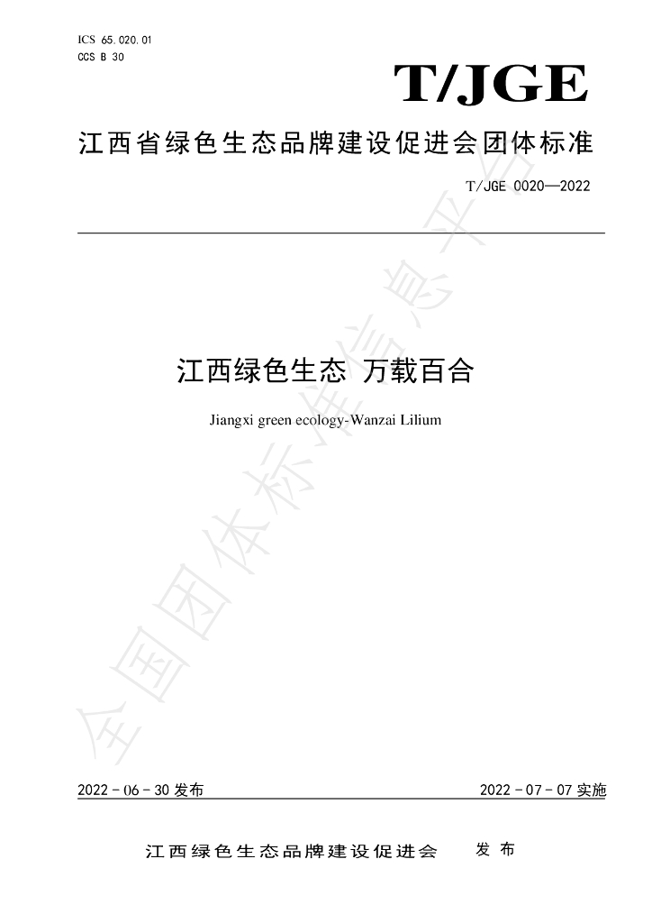 T/JGE 0020-2022 标准预览