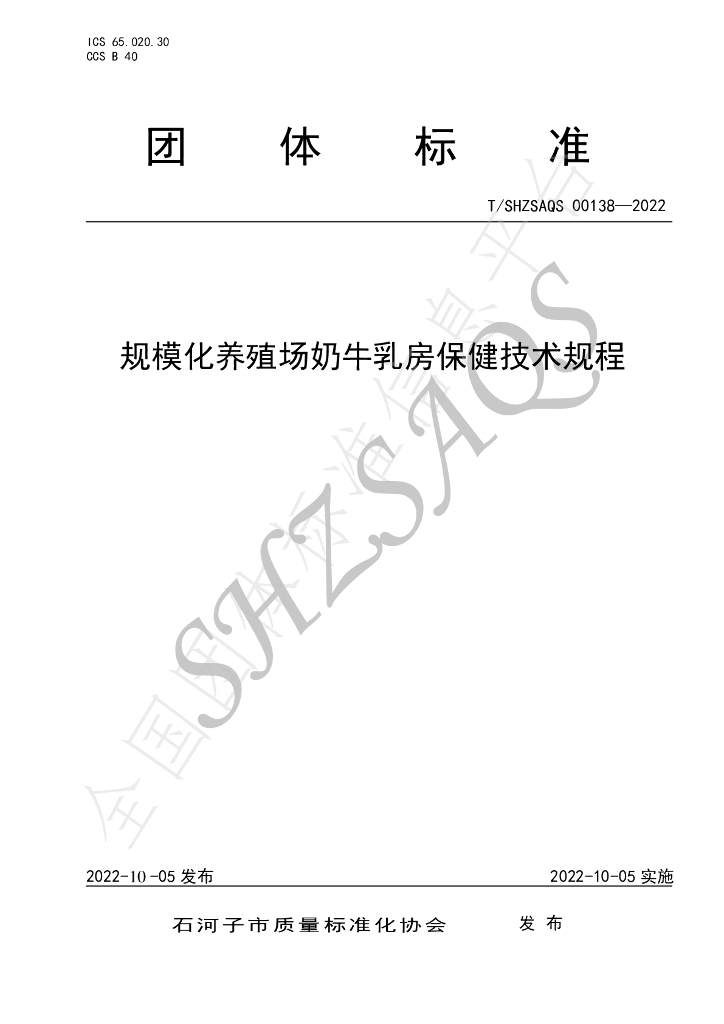 T/SHZSAQS 00138-2022 标准预览