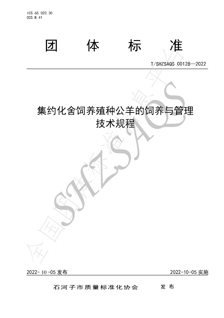 T/SHZSAQS 00128-2022 标准预览