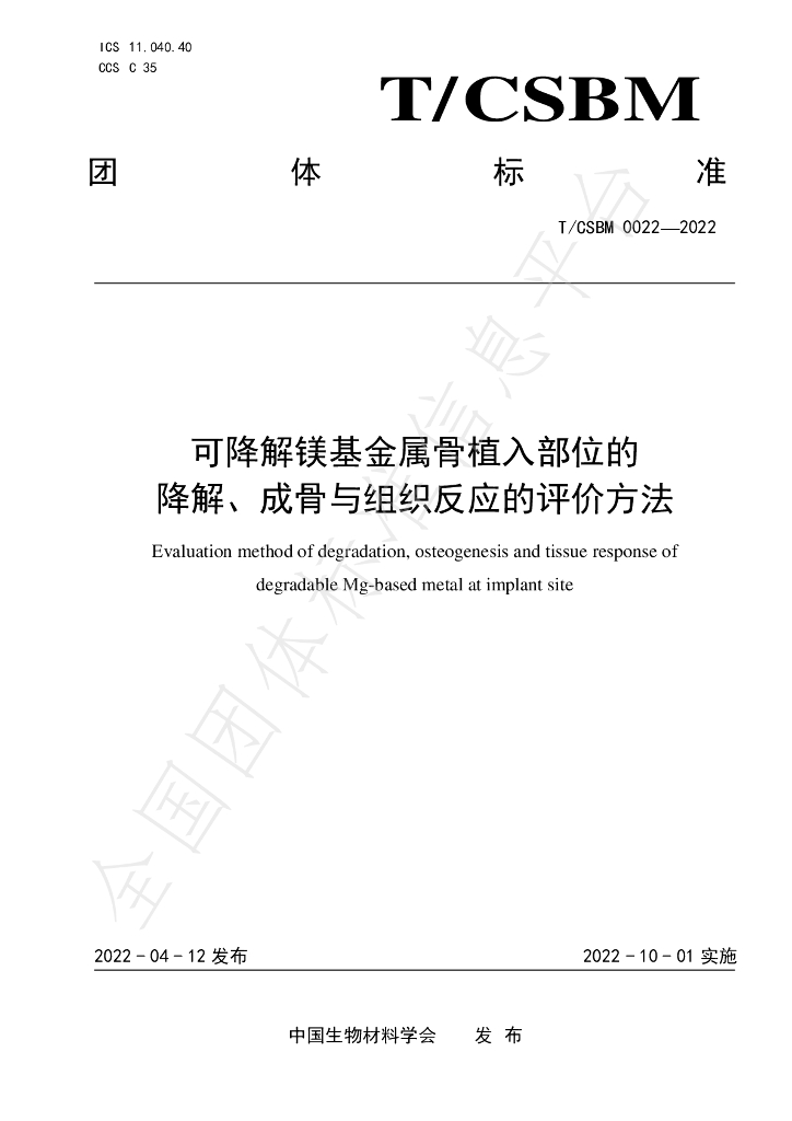 T/CSBM 0022-2022 标准预览