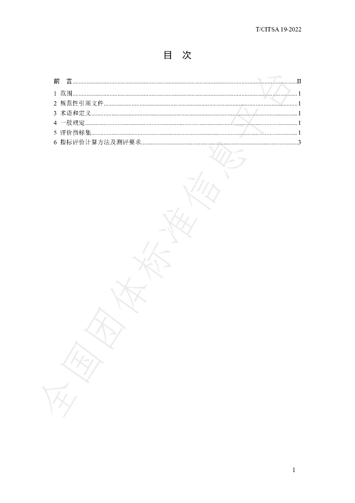 T/CITSA 19-2022 标准预览