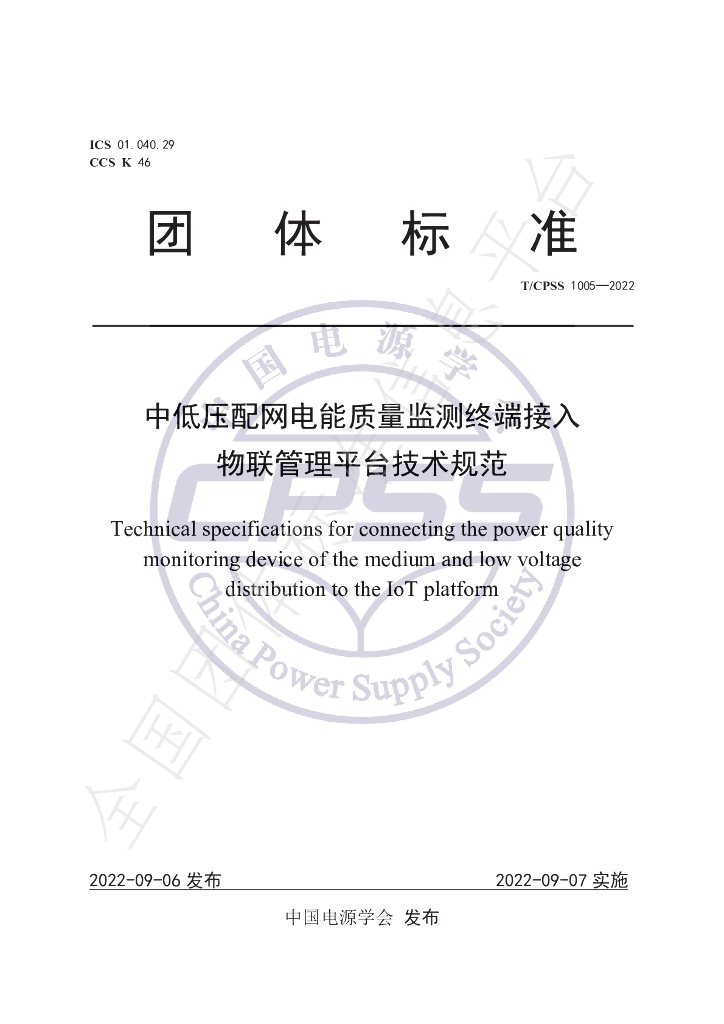 T/CPSS 1005-2022 标准预览