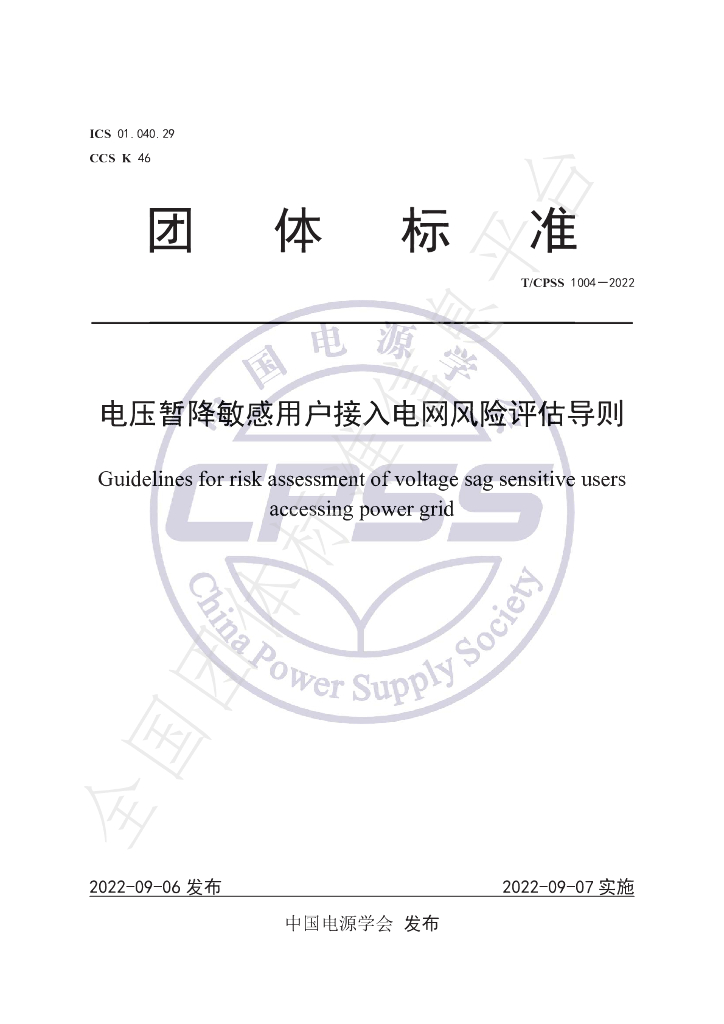 T/CPSS 1004-2022 标准预览
