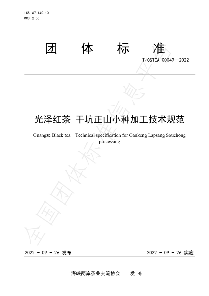 T/CSTEA 00049-2022 标准预览