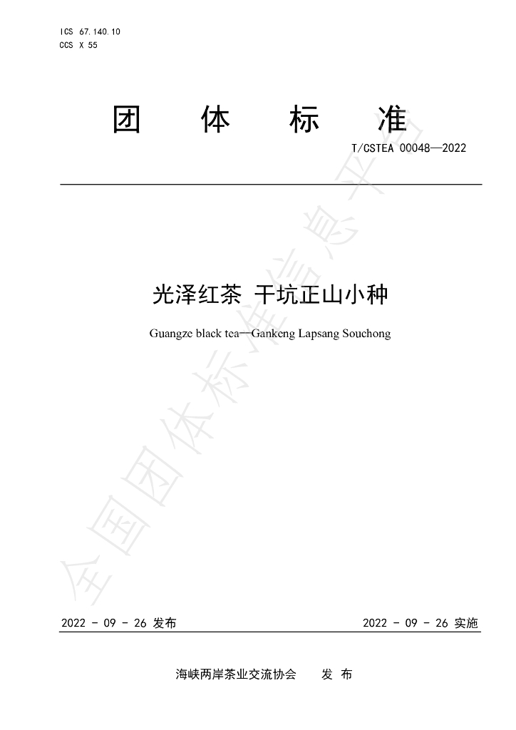 T/CSTEA 00048-2022 标准预览