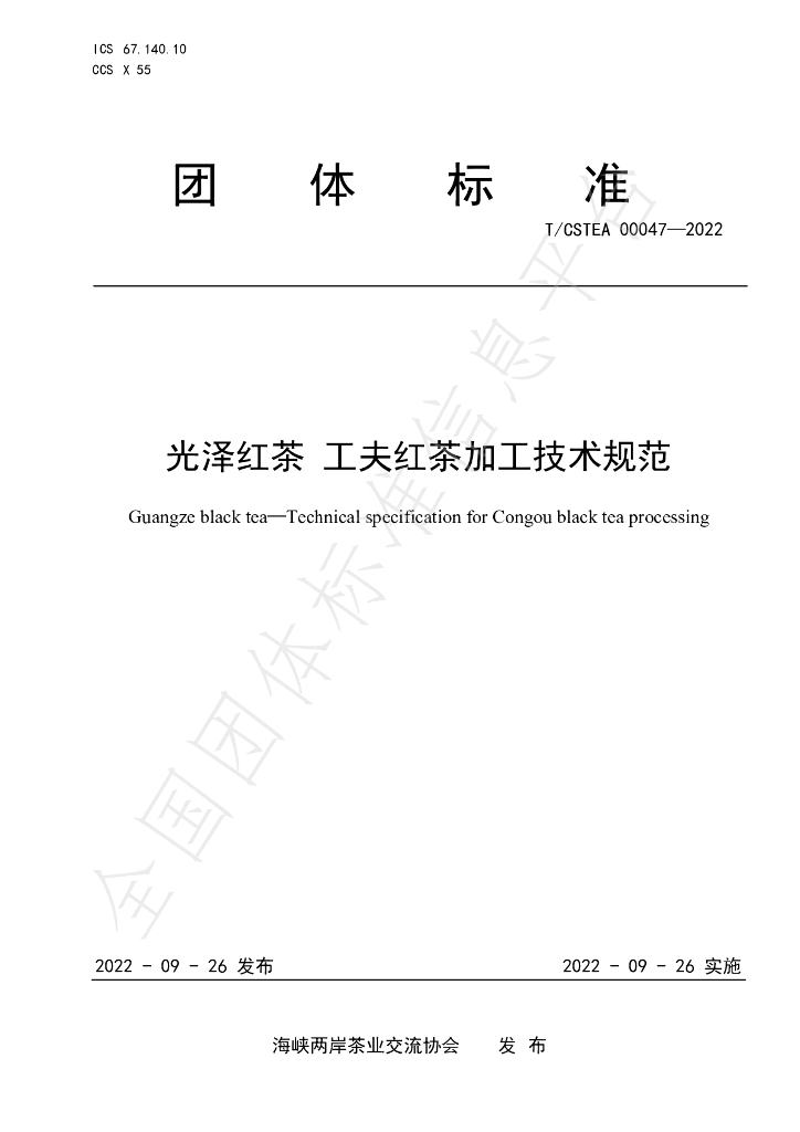 T/CSTEA 00047-2022 标准预览