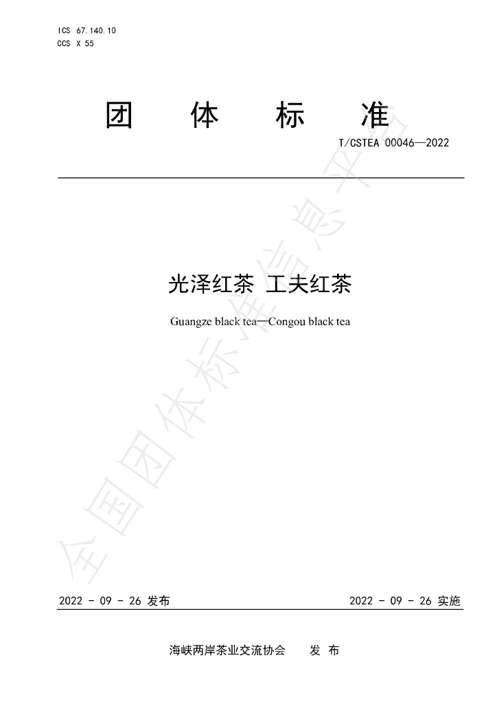 T/CSTEA 00046-2022 标准预览