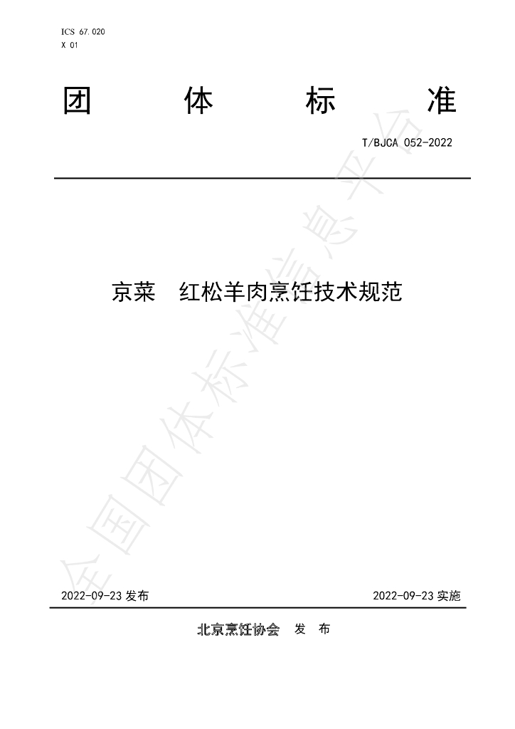 T/BJCA 052-2022 标准预览