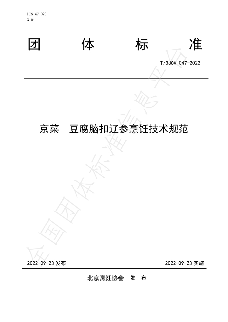 T/BJCA 047-2022 标准预览