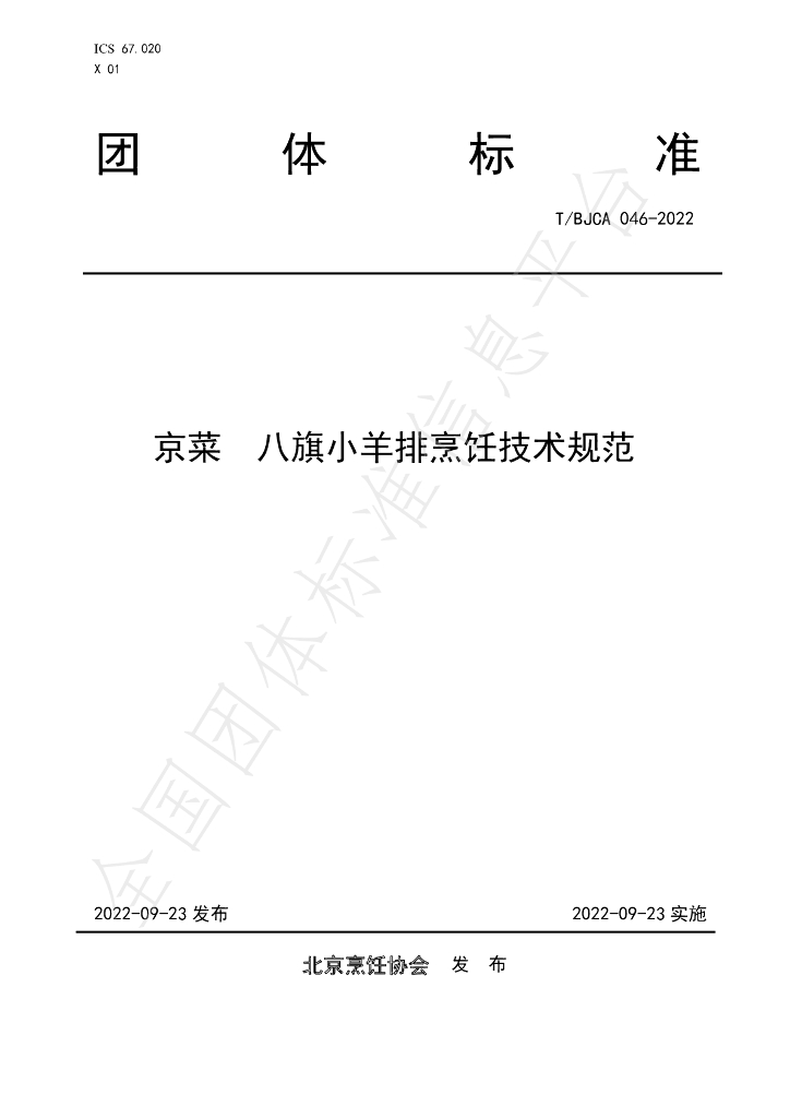 T/BJCA 046-2022 标准预览