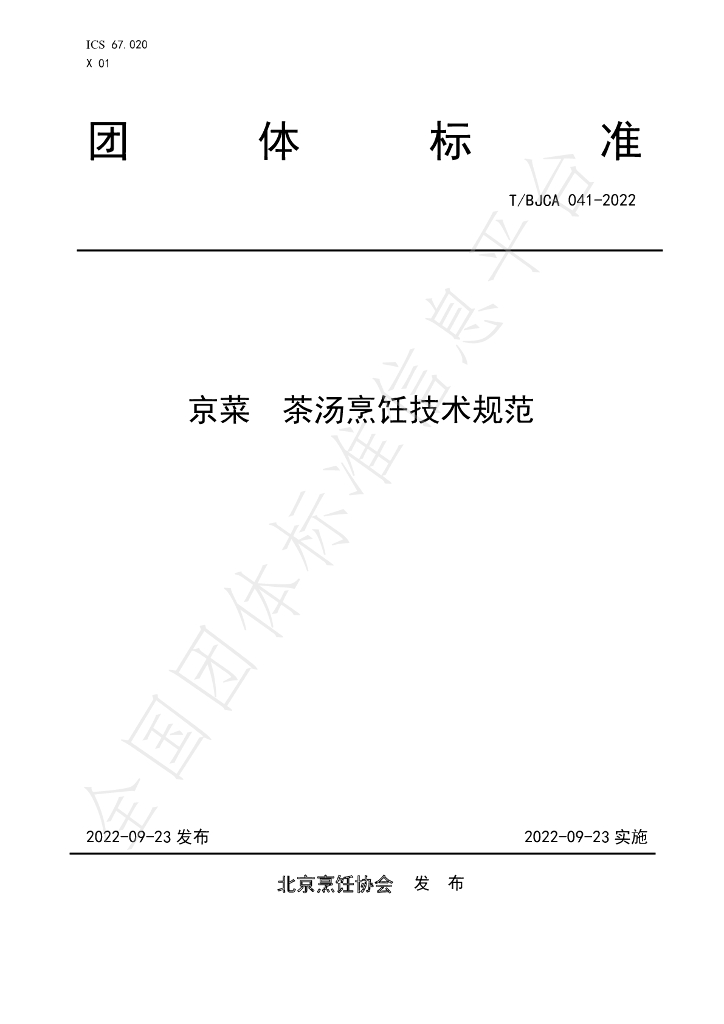 T/BJCA 041-2022 标准预览