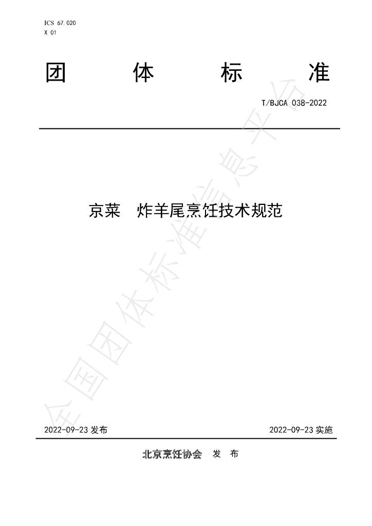 T/BJCA 038-2022 标准预览