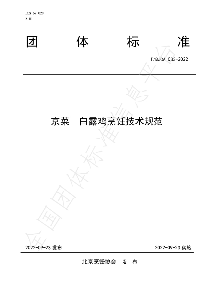 T/BJCA 033-2022 标准预览