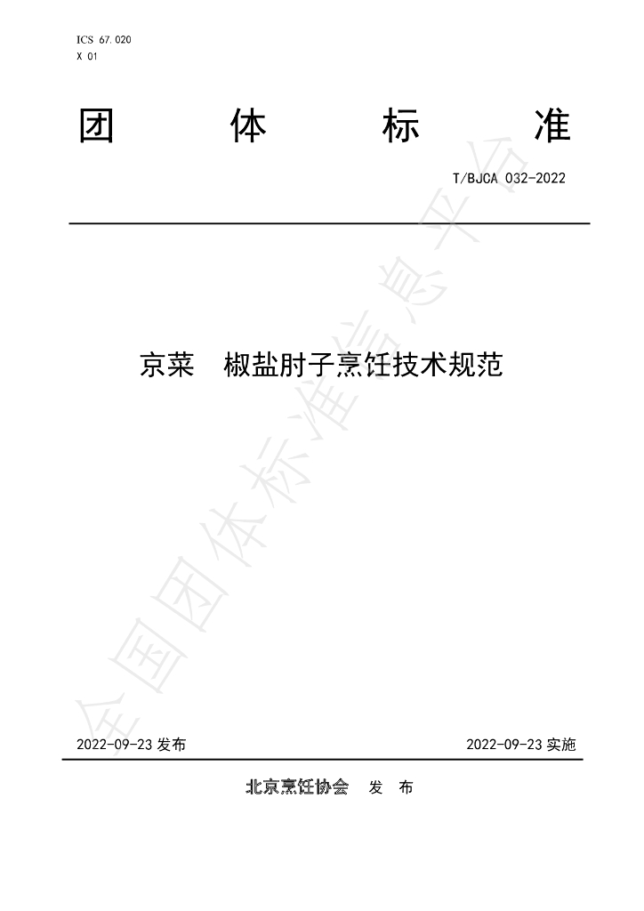 T/BJCA 032-2022 标准预览