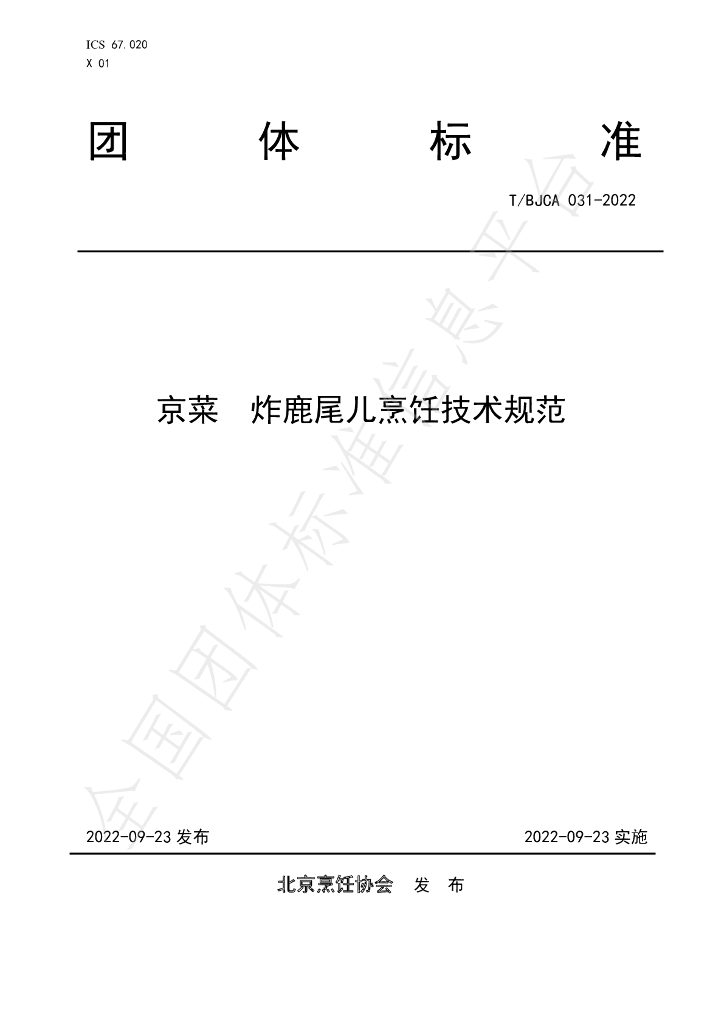 T/BJCA 031-2022 标准预览