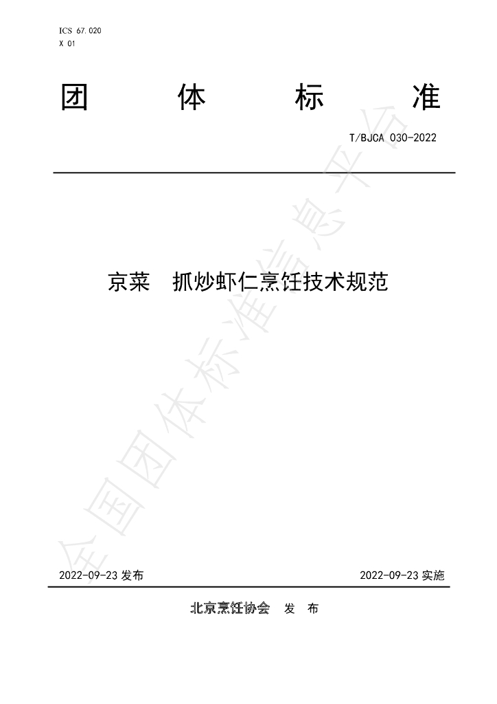 T/BJCA 030-2022 标准预览