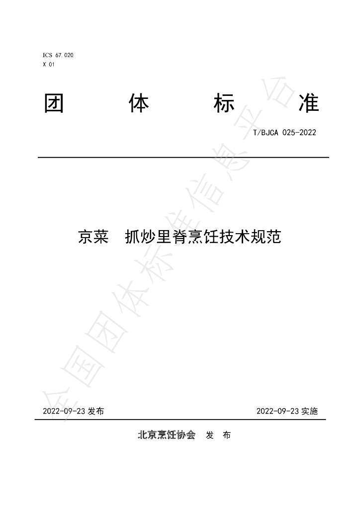 T/BJCA 025-2022 标准预览