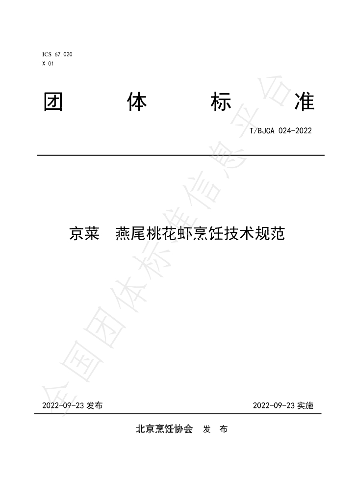 T/BJCA 024-2022 标准预览