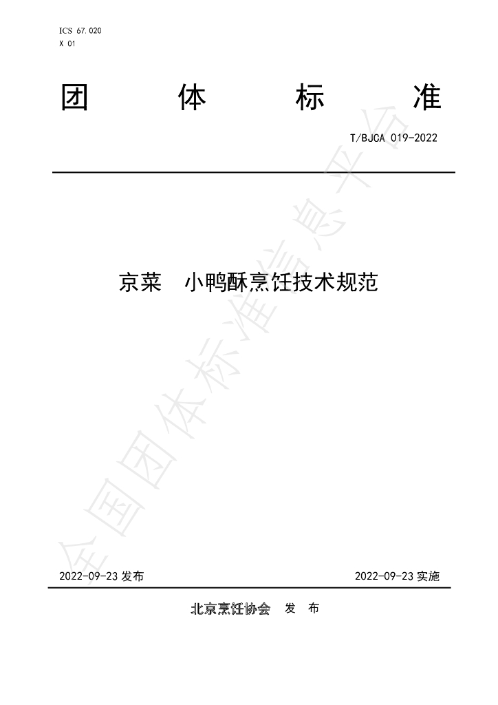 T/BJCA 019-2022 标准预览