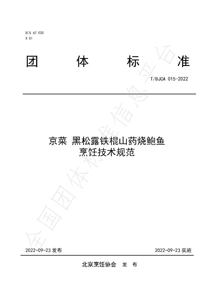 T/BJCA 015-2022 标准预览