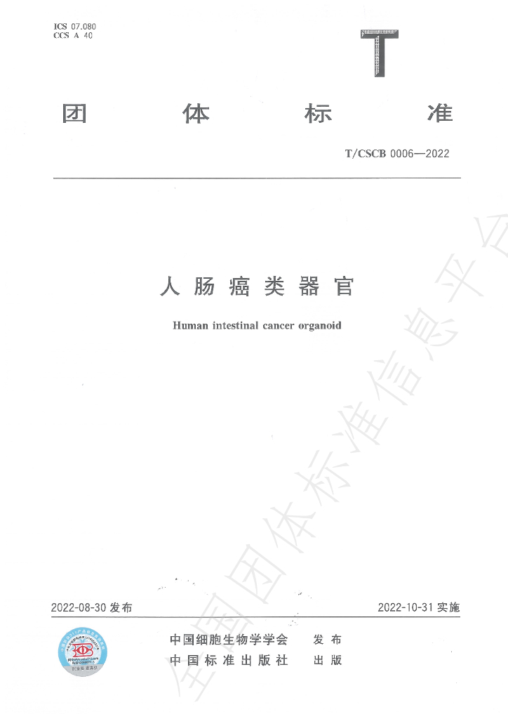T/CSCB 0006-2022 标准预览