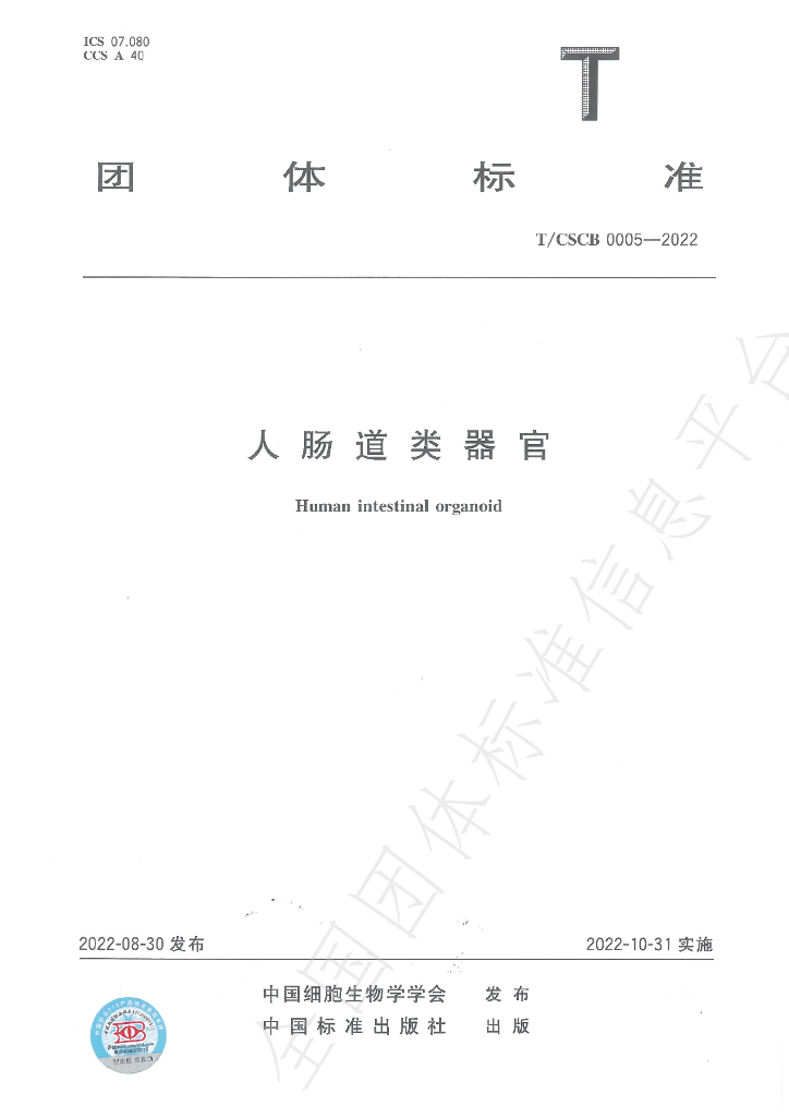 T/CSCB 0005-2022 标准预览