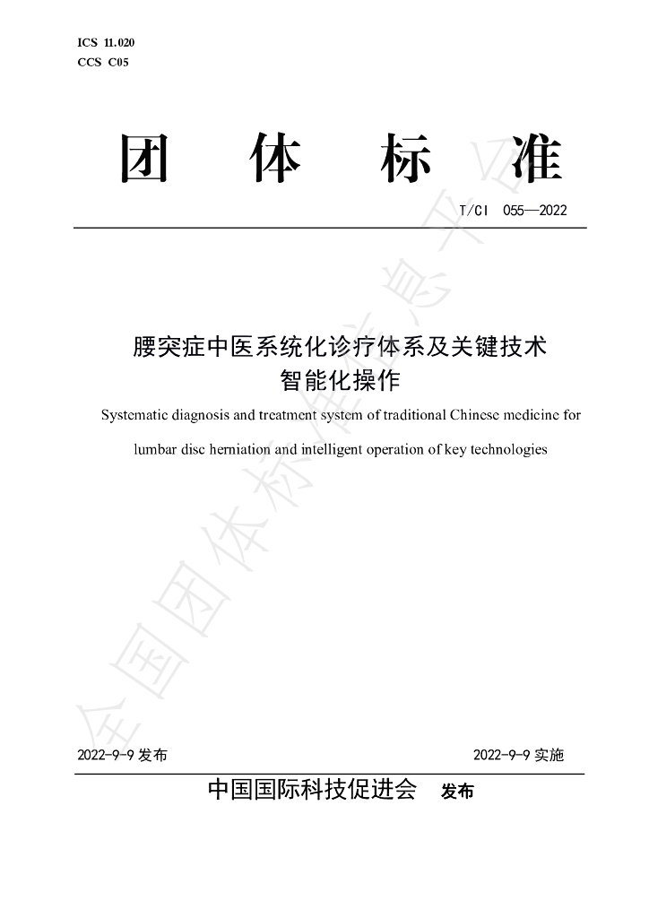 T/CI 055-2022 标准预览