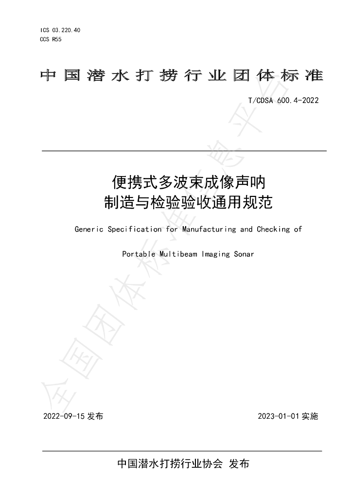 T/CDSA 600.4-2022 标准预览