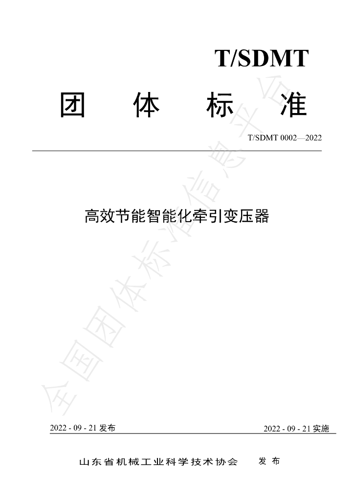 T/SDMT 0002-2022 标准预览