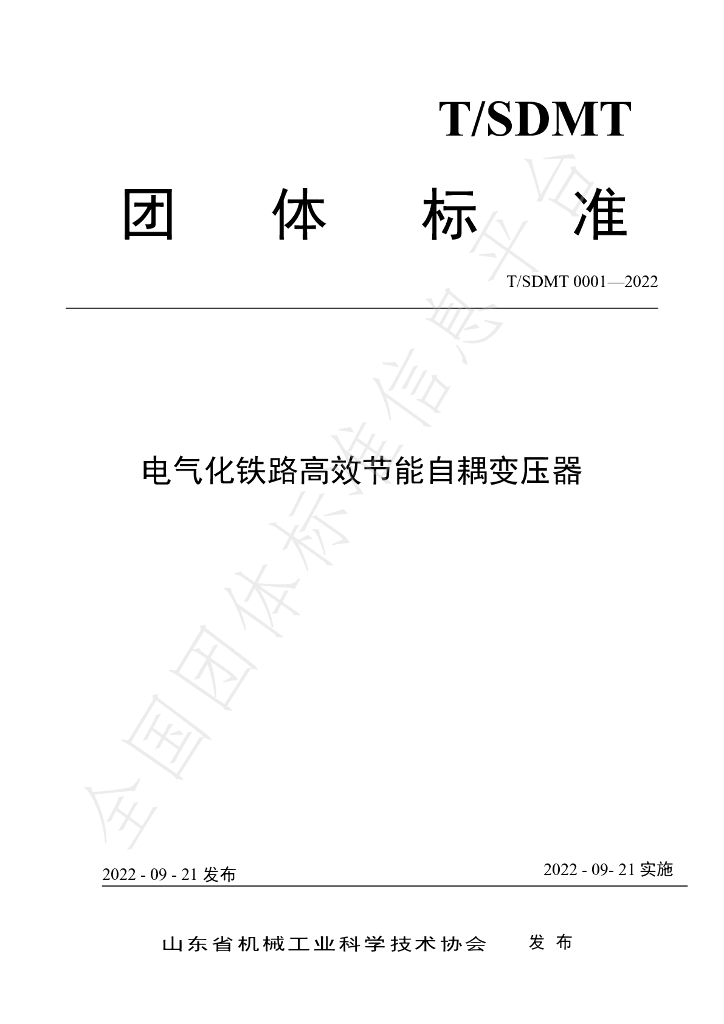 T/SDMT 0001-2022 标准预览