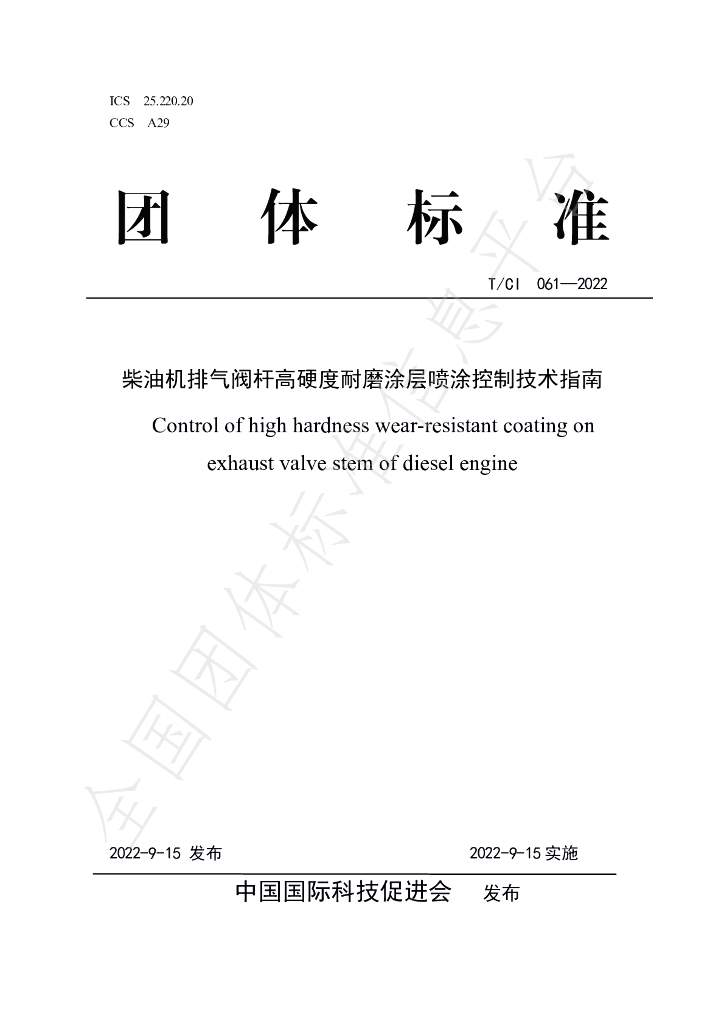 T/CI 061-2022 标准预览