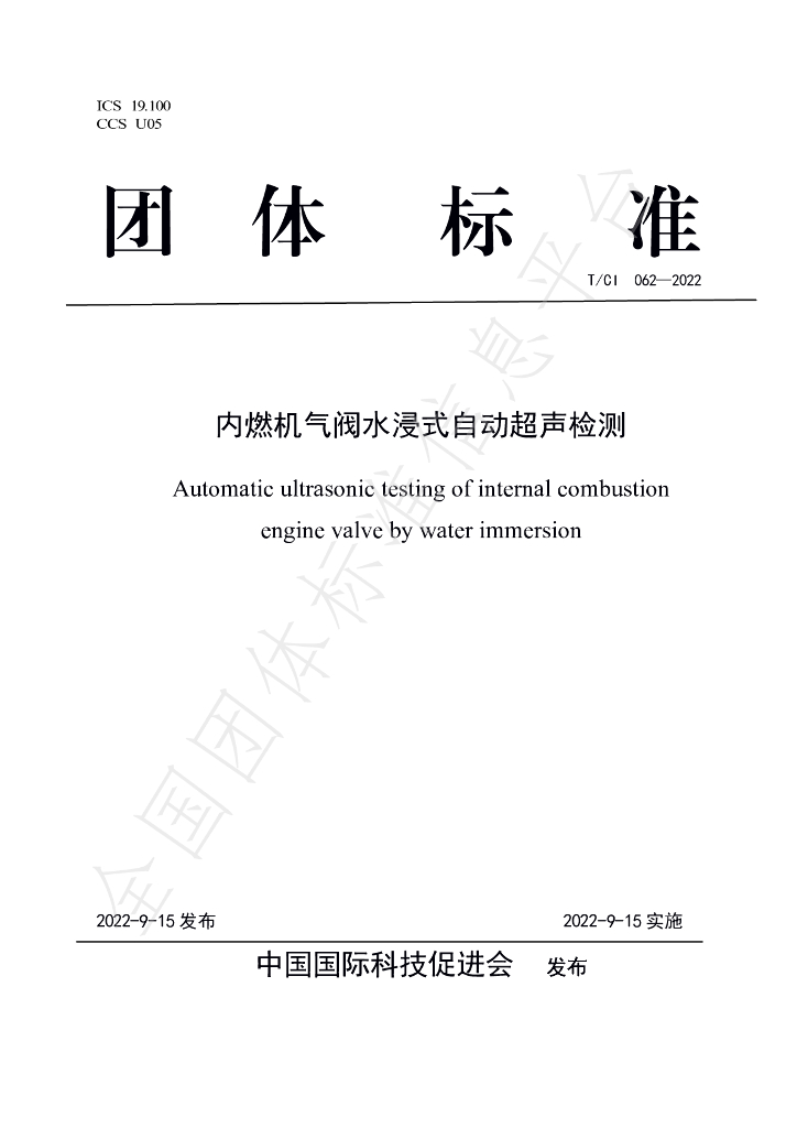 T/CI 062-2022 标准预览