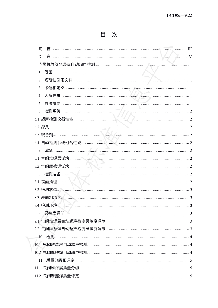 T/CI 062-2022 标准预览