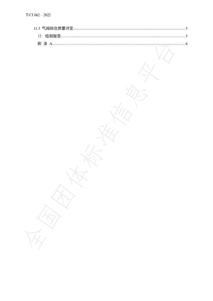 T/CI 062-2022 标准预览