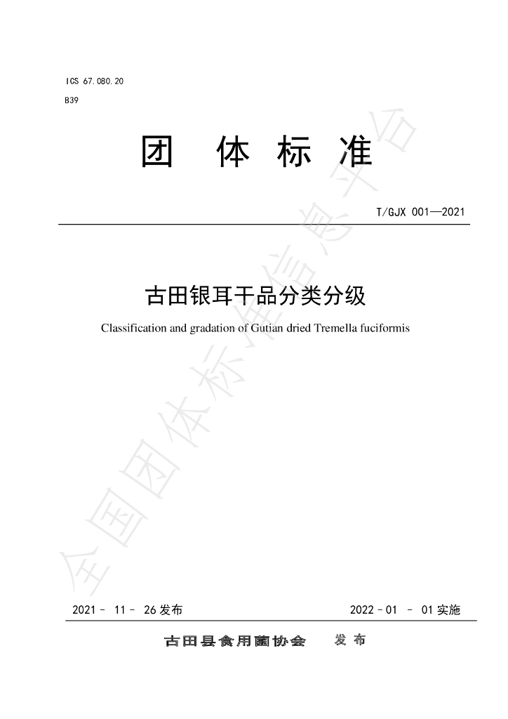 T/GJX 001-2021 标准预览